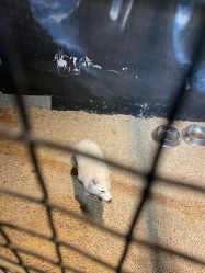 -酷嗒动物文化乐园(cutezoo西溪乐天城店)