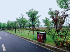 -春花秋色城市公园