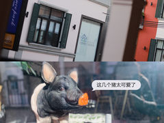 -T28PARK公园里