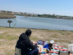 -春花秋色城市公园