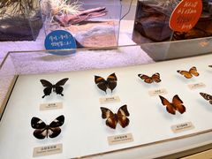 -中国湿地博物馆