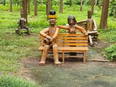 -黄海国家森林公园