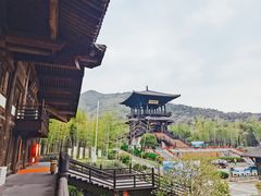 -大唐贡茶院