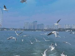-无锡蠡湖国家湿地公园-蠡园
