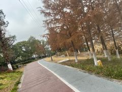 -宁波儿童公园(鄞州区)