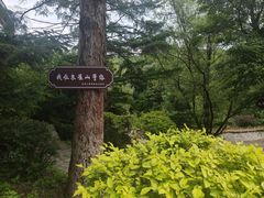 -吉林市朱雀山国家森林公园