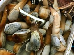 -南沙十九涌渔人码头-南门