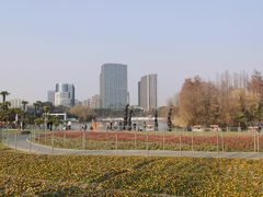 -大宁公园