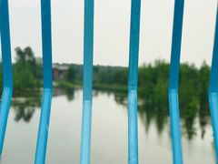 -白鹭湾湿地公园