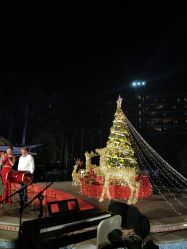 点击看大图 -华侨城洲际大酒店·宴会厅