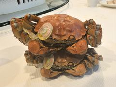 -东胜渔村·粤菜海鲜(东城十三碗店)