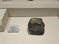 -辽宁古生物博物馆