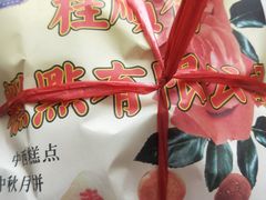 -芦庄子桂顺斋(和平路总店)