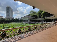 -荔湾湖公园