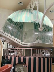 -奈尔宝·儿童乐园·亲子餐厅(星河湾店)