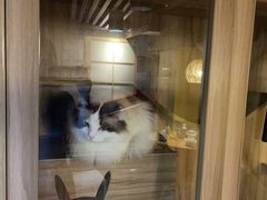 -白兔子密室(长寿路店)