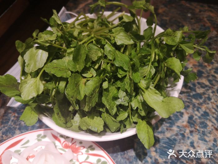 汕头八合里海记牛肉店(中关村壹号店)潮汕西洋菜图片