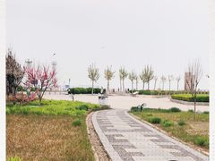 -东疆建设开发纪念公园