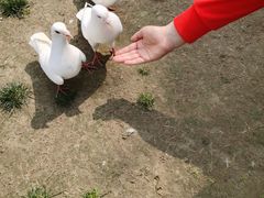 -南通洲际绿博园