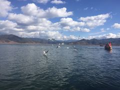 -丽江泸沽湖景区