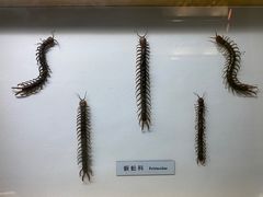 -青藏高原自然博物馆