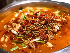 -宽口美蛙鱼头(大唐西市店)