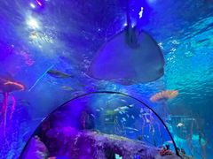 -沈阳海洋探索中心