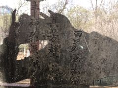 -文瀛公园