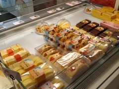-蒲公英(五里店)