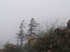 -秦岭风景区