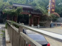 -千岛湖城中湖游船码头