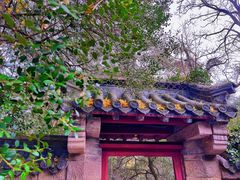 -青岛崂山太清宫