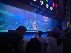 -泉城欧乐堡海洋极地世界