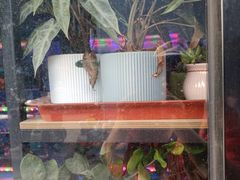 -万卉源鲜花店(百尚生活广场店)