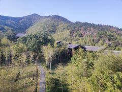 -大唐贡茶院