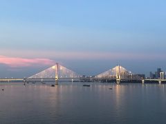 -武汉知音号