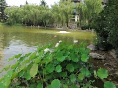 -西安市长乐公园