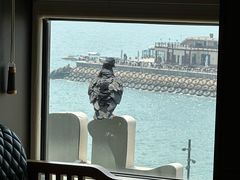 -川旺角川粤融合菜•海景餐厅(星海广场店)