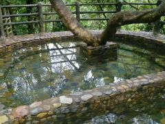-天门沟九州驿站树上汤泉