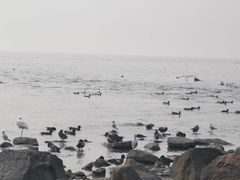 -深圳湾公园(南山区)