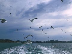 -海驴岛(荣成市)