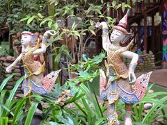 -呀路古热带植物园