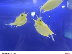 -大连圣亚海洋世界