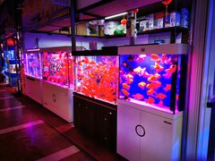 -朝来春花卉市场-东停车场