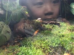 -暹罗海洋世界
