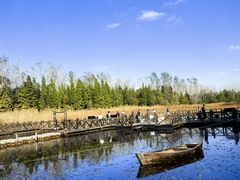 -溱湖国家湿地公园