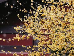 -钱王祠