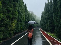 -青龙山生态文化旅游区(慈云寺)