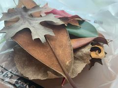 -昆山城市生态森林公园