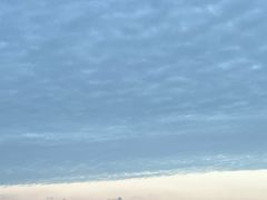 -上海浦东星河湾酒店